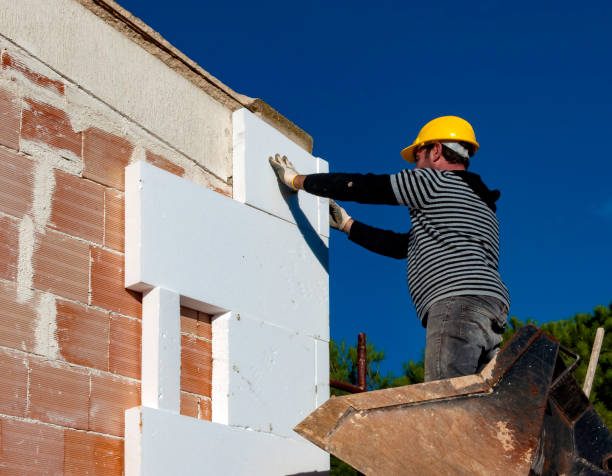 Best Residential Insulation in Forrest, IL