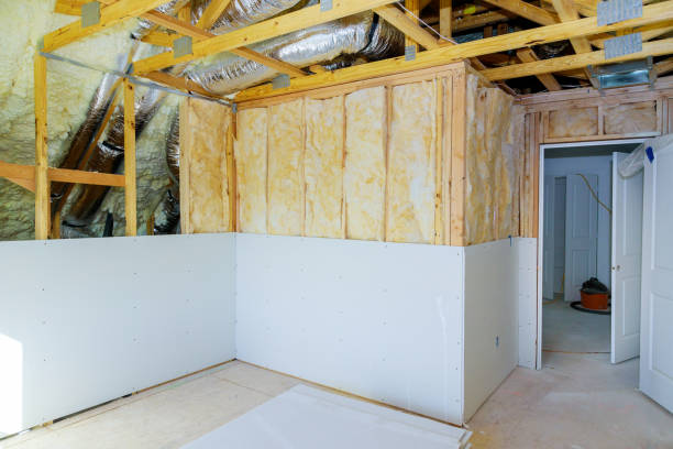 Best Eco-Friendly Insulation in Forrest, IL