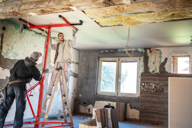 Best Spray Foam Insulation in Forrest, IL