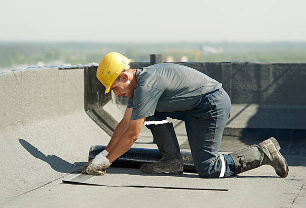 Best Blown-in Insulation in Forrest, IL