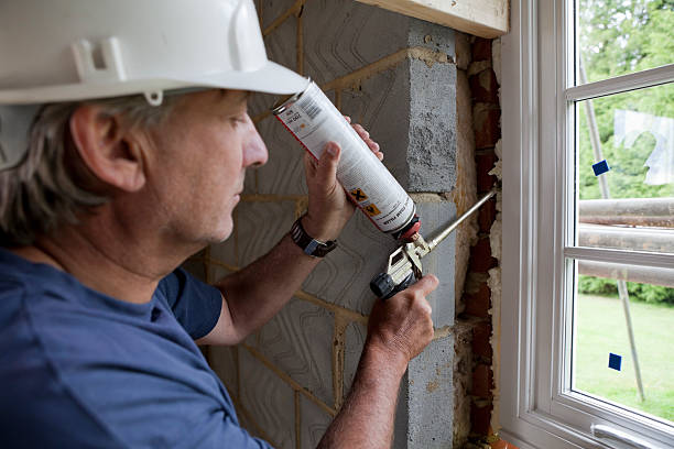 Trusted Forrest, IL Insulation Contractor Experts