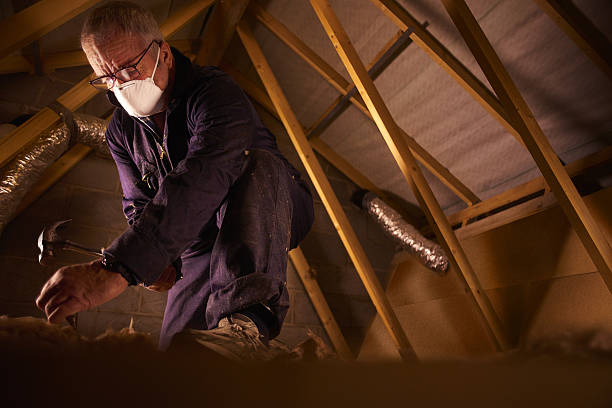 Types of Insulation We Offer in Forrest, IL