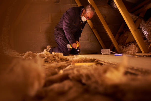 Best Eco-Friendly Insulation in Forrest, IL