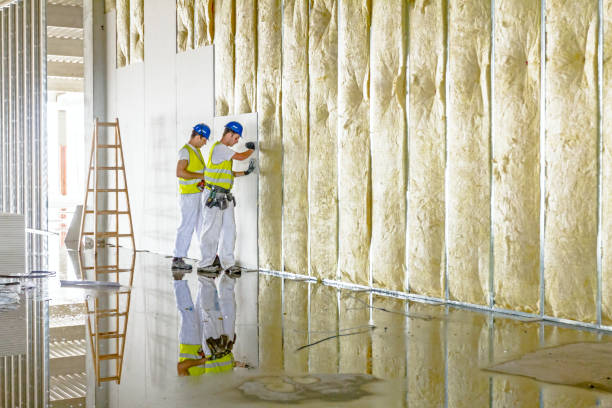 Best Residential Insulation in Forrest, IL